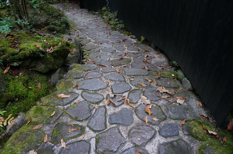 DSC02396