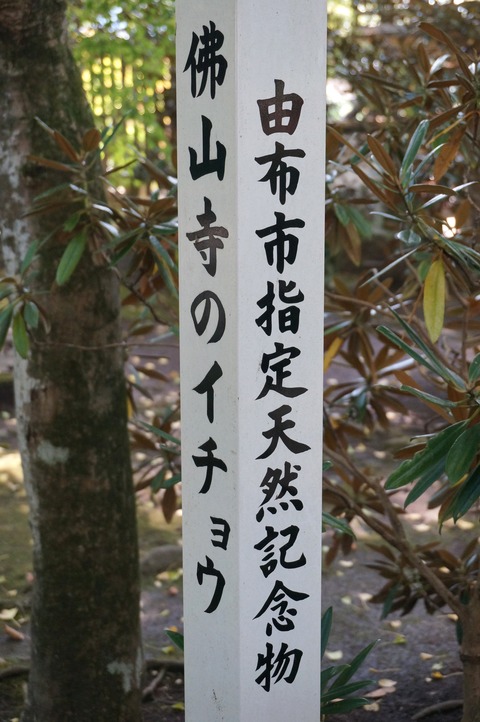 DSC02851