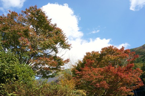 DSC02859