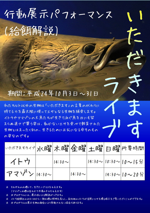 いただきますライブ