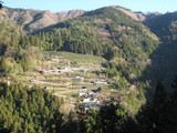 中井侍
