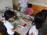 DSCF0530-1