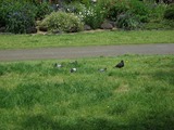 DSCF8351-1