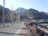 DSCN3163