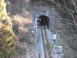 あ!青だ!