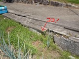 DSCN1311-1