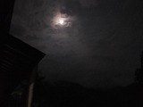 DSCF0689-1