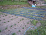 DSCN0870