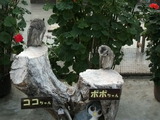 DSCF2338