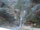 DSCN3164