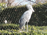 DSCN0666
