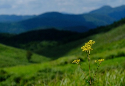 DSCF0078