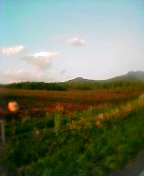 雄大な景色