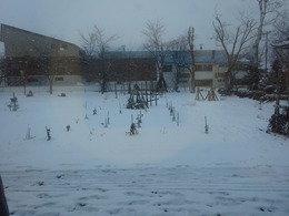 DSC01026