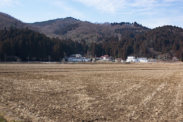 2019020320