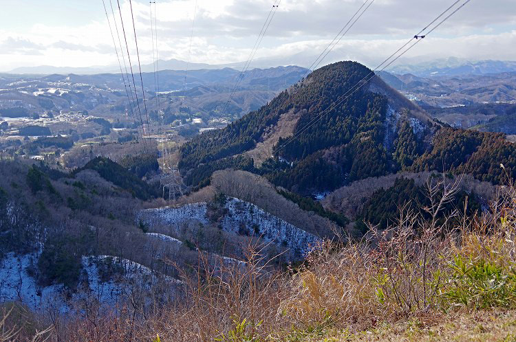 2017012829