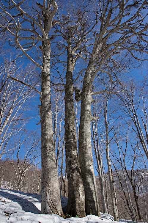2019042012