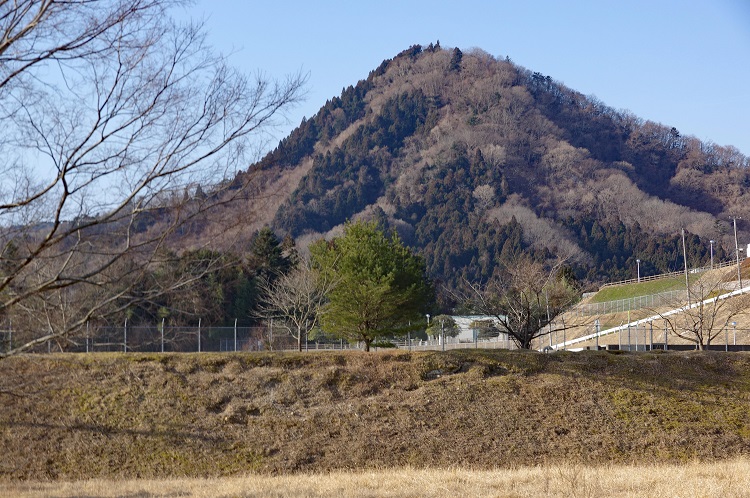 2019020302