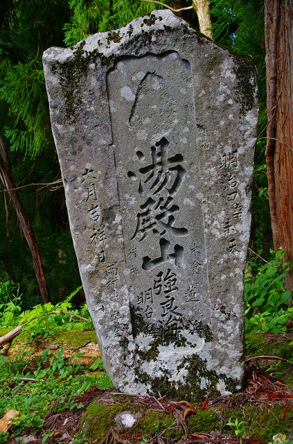 2015082444