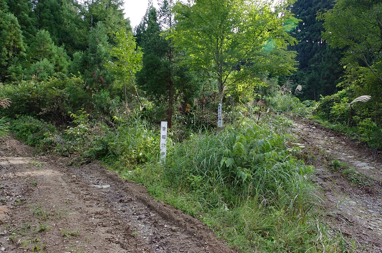 2018091207