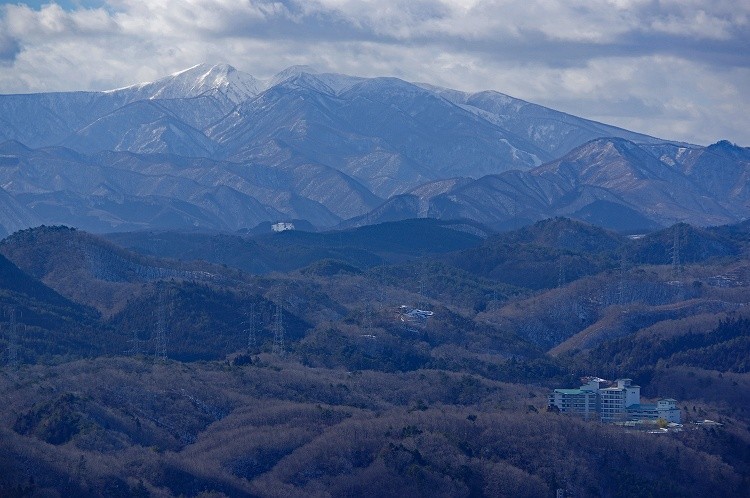 2017012837