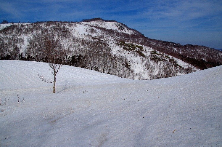 201532834
