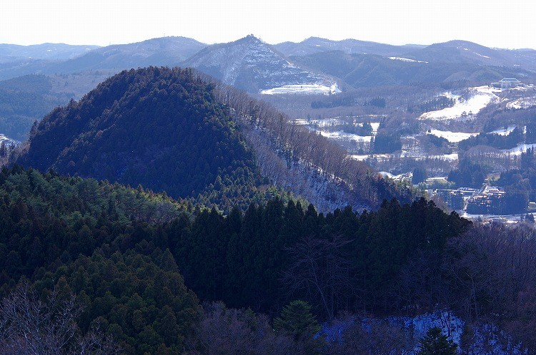 2017012830