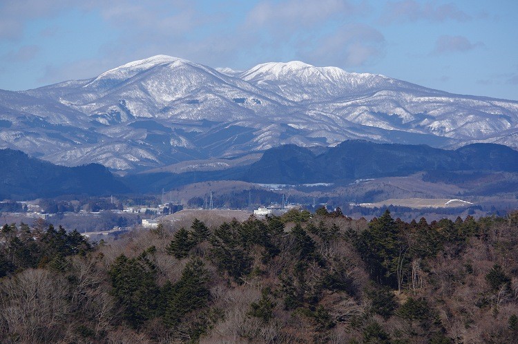 2017012825