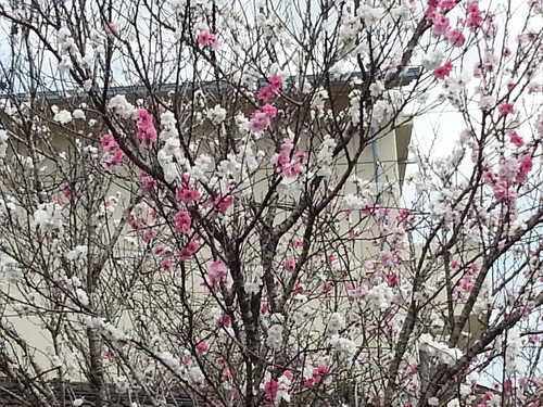 20180402_132333