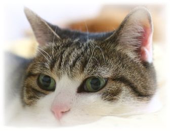 キョトン