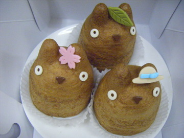 totoro (2)