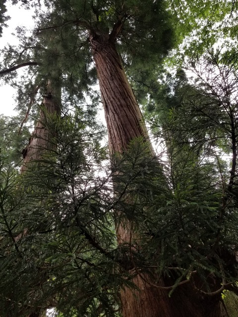 20180606_143816