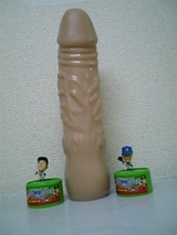 ¥·¥ó¥Ü¥ë