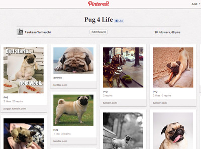 pug
