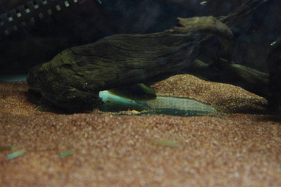 IMGP0933
