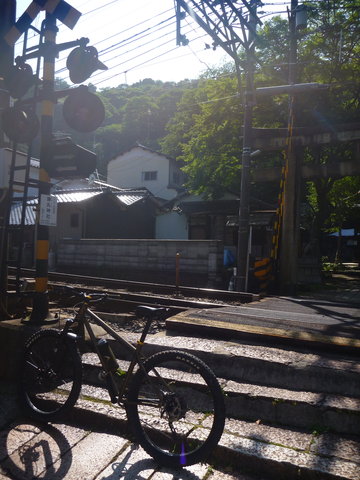 P1530641