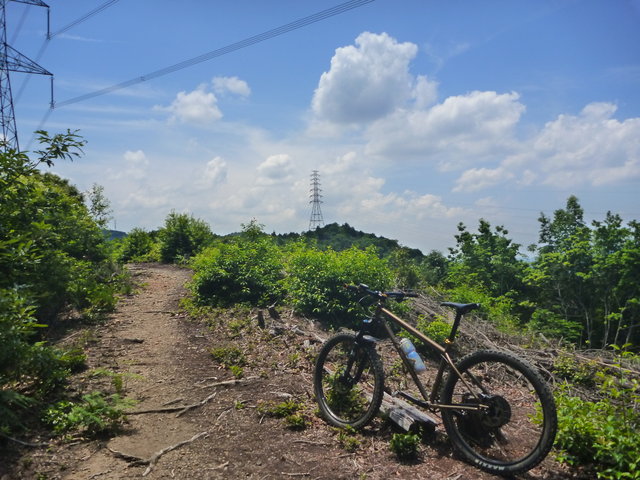 P1530503