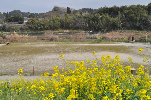 矢部川傍のゲートボール場