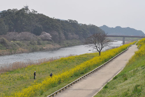 矢部川2
