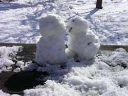 雪だるまon the bench