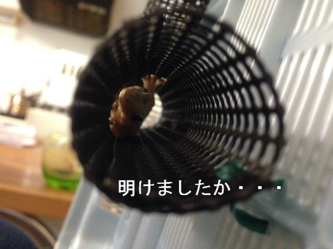 BlogPaint