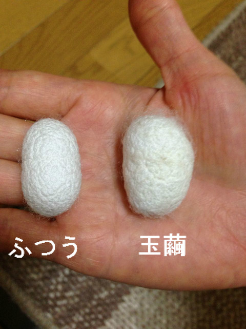BlogPaint