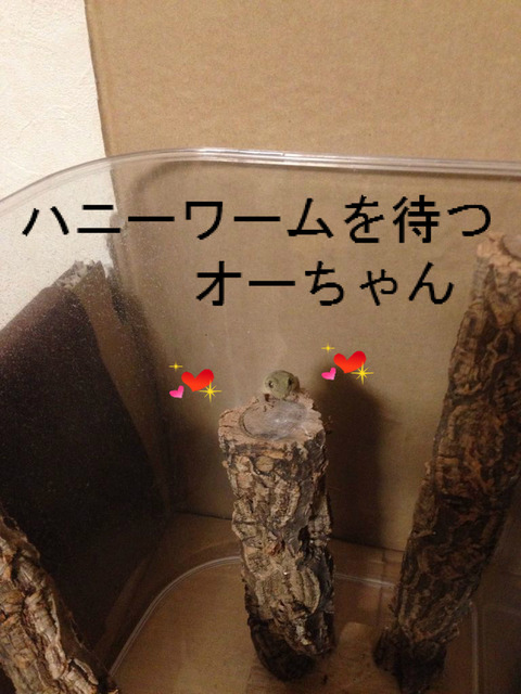 BlogPaint