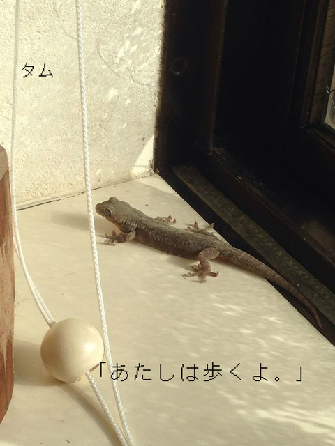 BlogPaint
