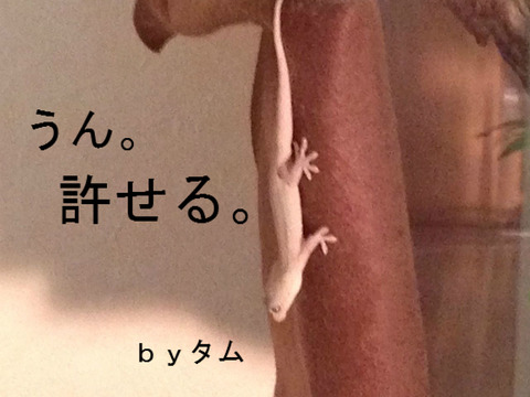 BlogPaint