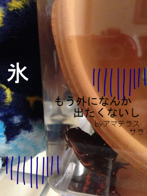 BlogPaint