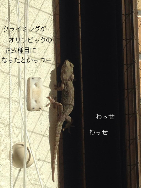 BlogPaint