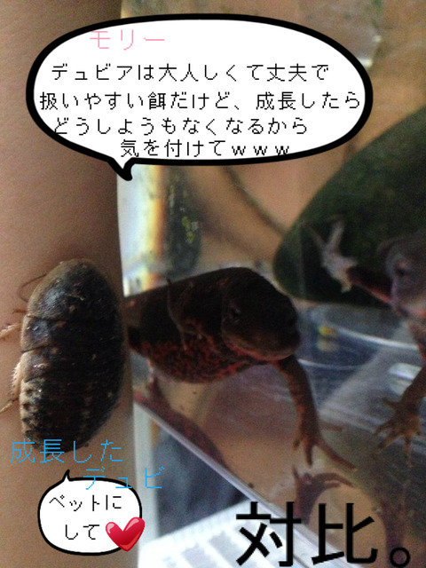BlogPaint