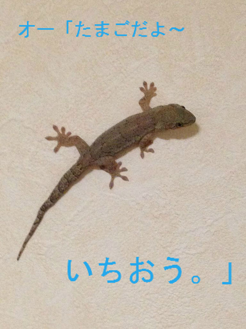 BlogPaint