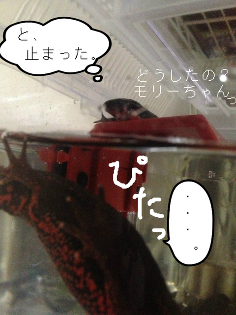 BlogPaint